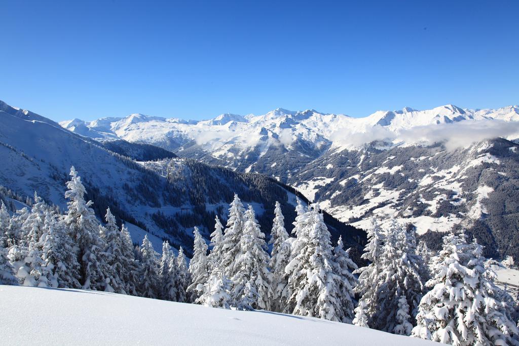 Landhaus & Appartementhaus Haussteiner Dorfgastein Buitenkant foto